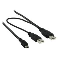 2x USB A naar mini USB 2.0 kabel, 1 m, m/m