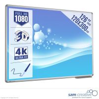 Whiteboard Projection Series 120x300 cm